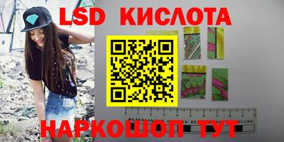 крисы Пенза