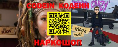 крисы Пенза
