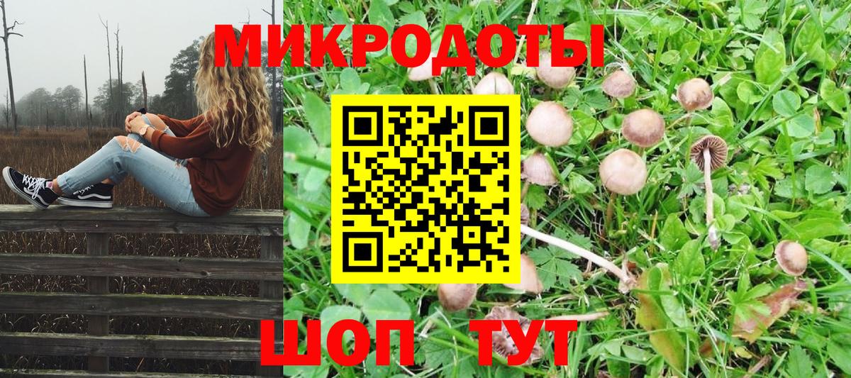 Галлюциногенные грибы мицелий Туапсе